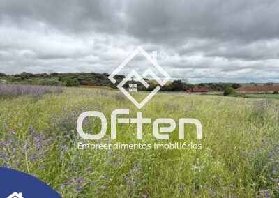 VENDA OU ARRENDAMENTO – ÁREA RURAL DE 6.6 HECTARES